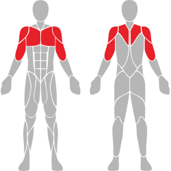 EE-03 Presă pentru piept - Echipament de fitness pentru exterior